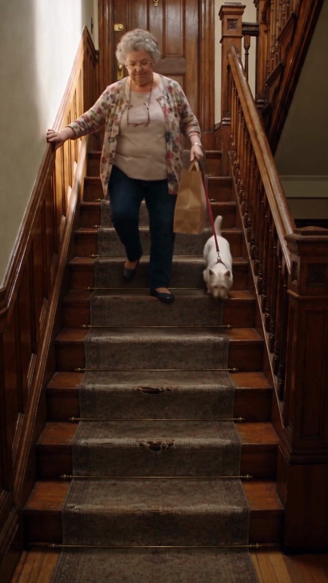 A resident coming down the carpeted common stairs of an older Chicago apartment building with a shopping bag and her dog - Ankin Law dramatization