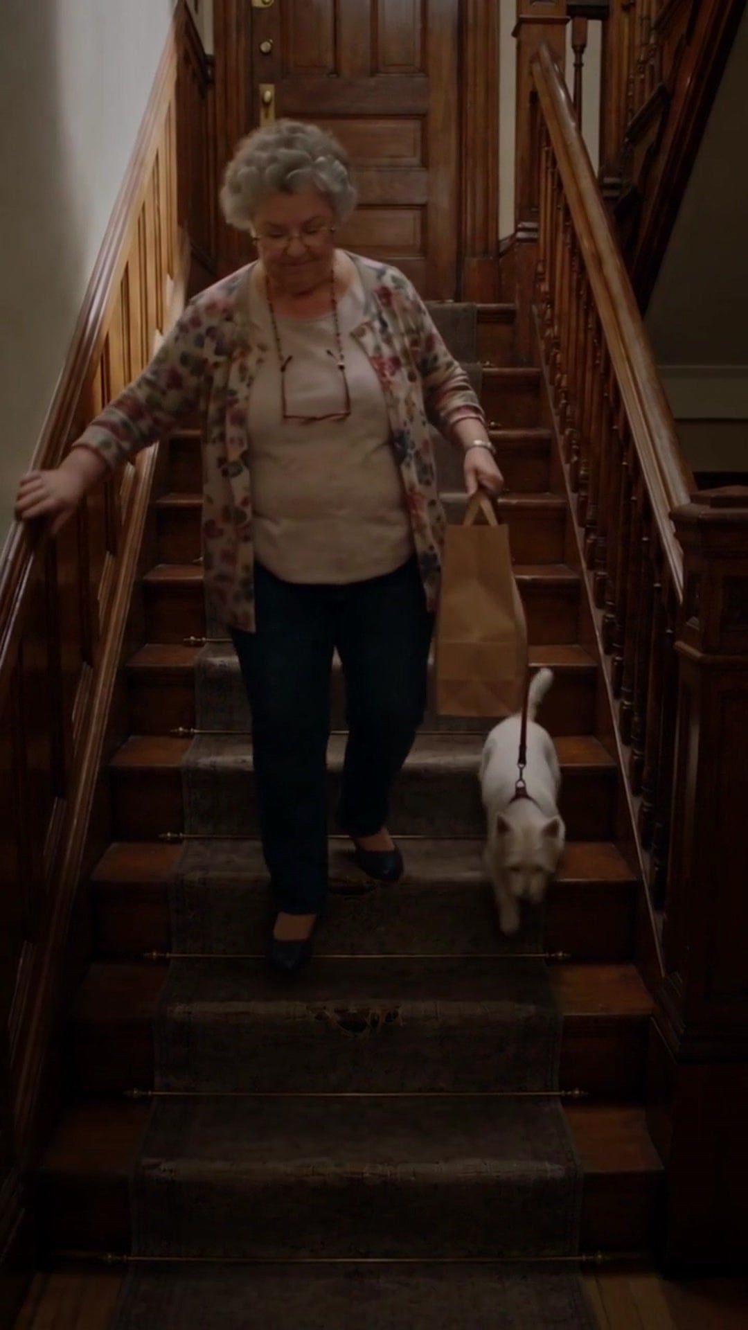 A resident with a shopping bag and her dog walking down a carpeted staircase worn thin at the front of each step - Ankin Law dramatization